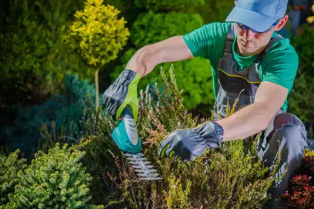 landscaping services Bay Park